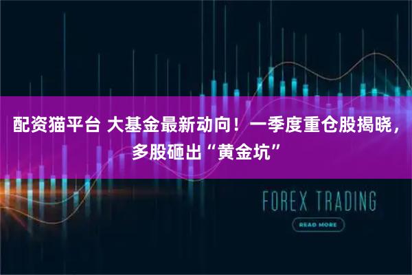 配资猫平台 大基金最新动向！一季度重仓股揭晓，多股砸出“黄金坑”