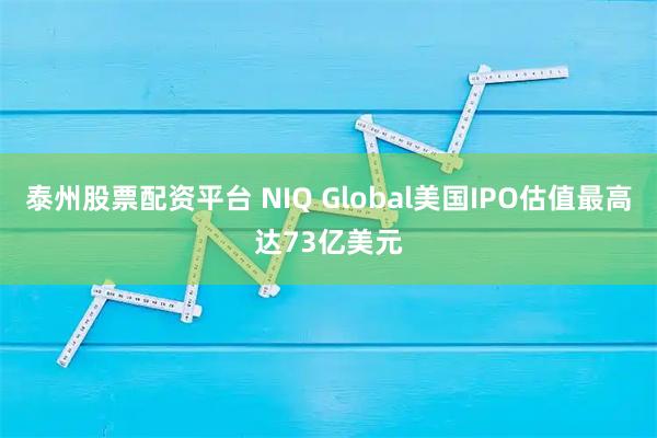泰州股票配资平台 NIQ Global美国IPO估值最高达73亿美元